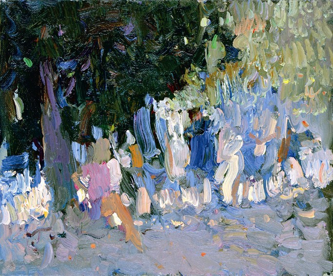 Summer Practice  by  Bato Dugarzhapov