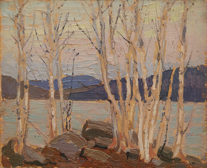 Birch Grove, Algonquin Park, Tom Thomson