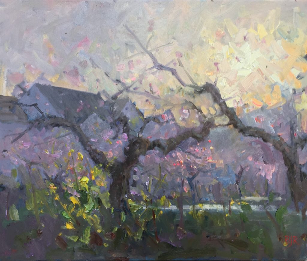 Xinchang Peach Blossoms, by Barry John Raybould, 40cm x 50cm, Oil on Canvas, 2018