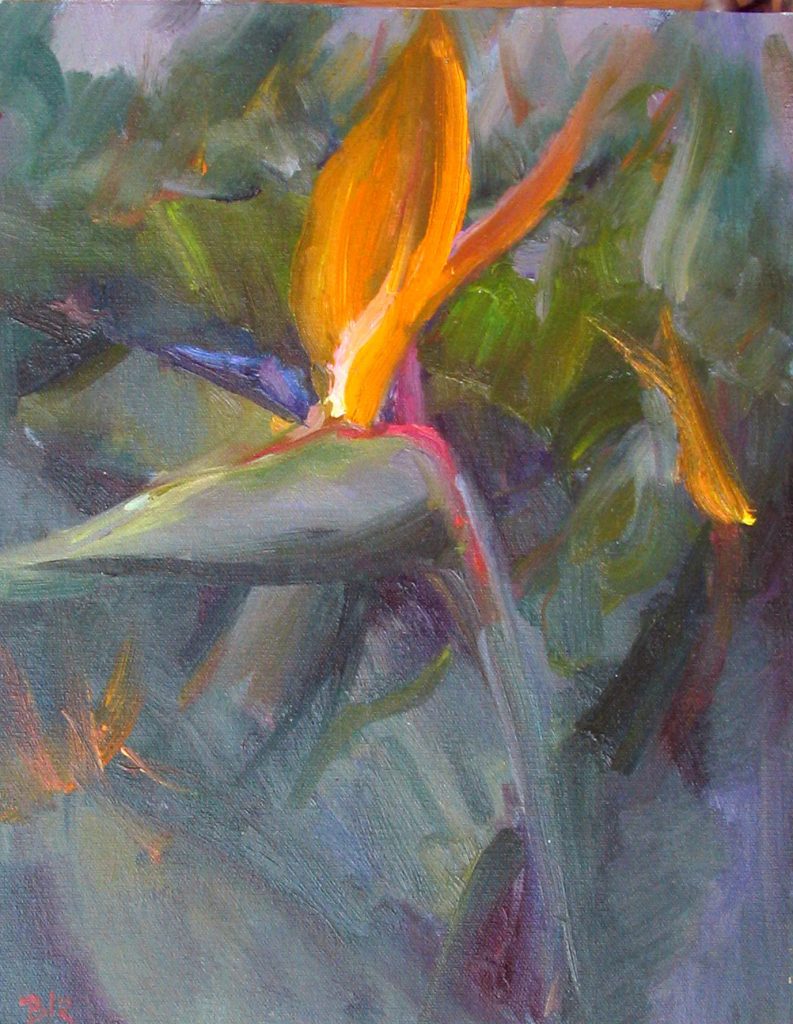 Bird of Paradise by Barry John Raybould