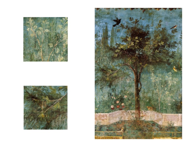 Villa of Livia with garden view fresco showing changes of hue in atmospheric perspective_800