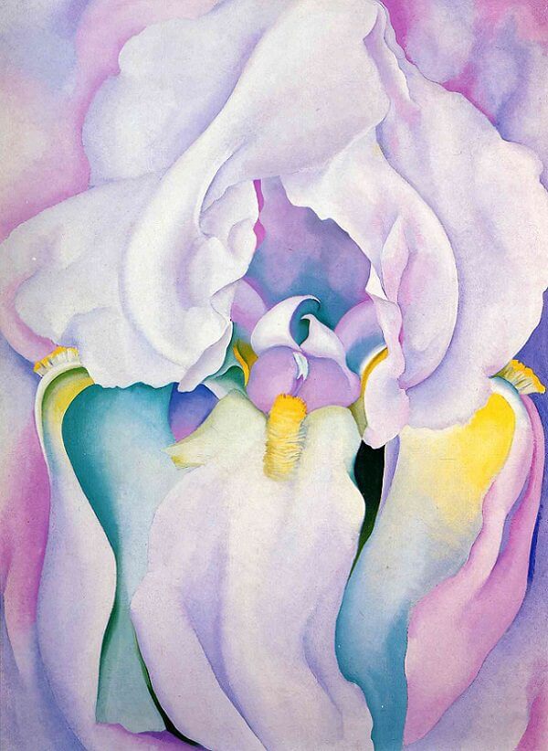 Georgia O'Keeffe Light Iris