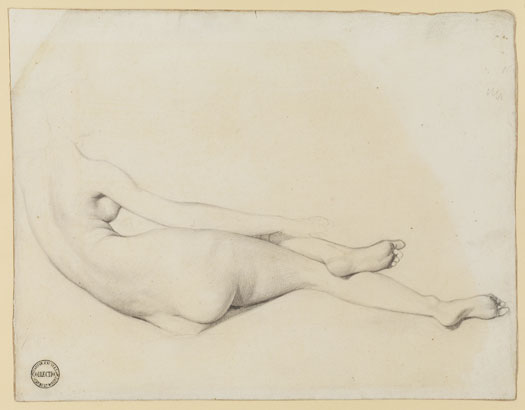 Ingres Study For La Grande Odalisque