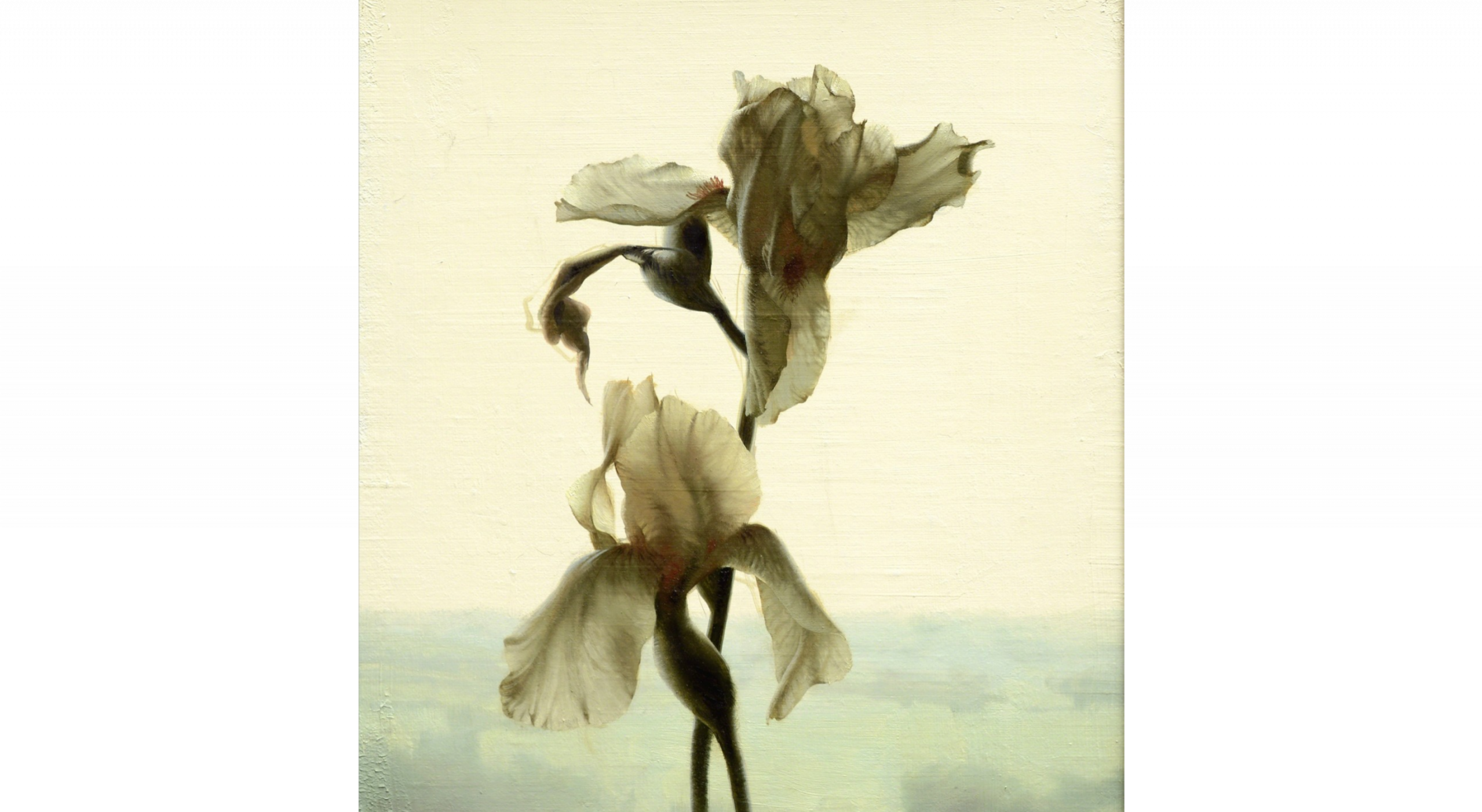 Daniel Sprick Backlit Iris, 2014 Oil 16 × 12 in | 40.6 × 30.5 cm