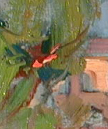Exaggerating Color Spots Exaggerating Color Spots