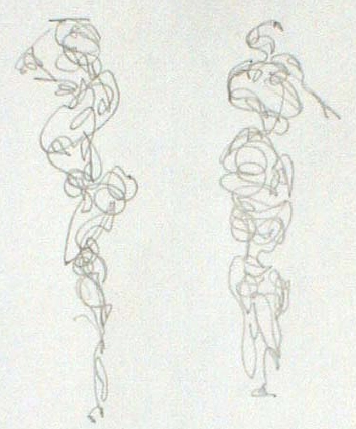 scribble line gesture drawing