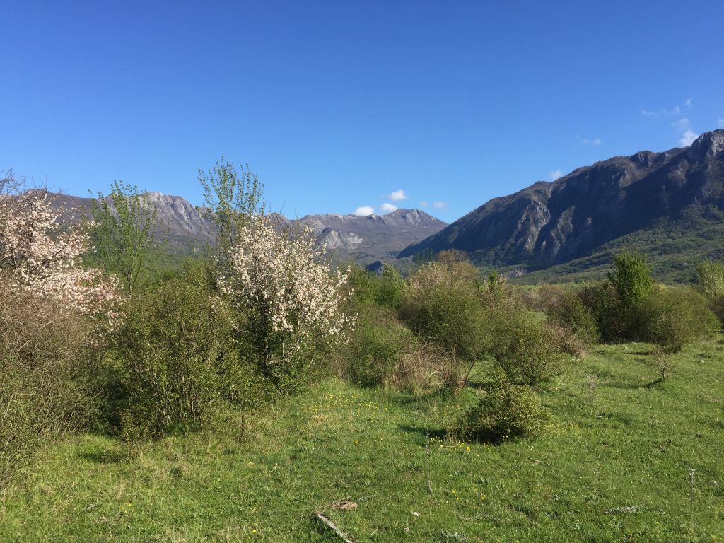 Cat. No. 1411 Montenegro Landscape, photograph of scene