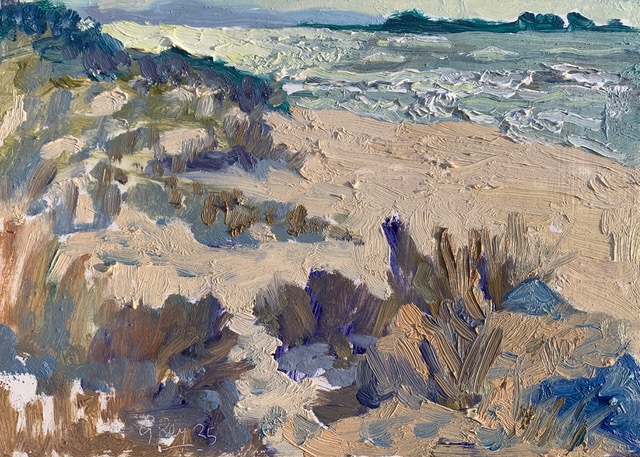 Afternoon Light - West Wittering